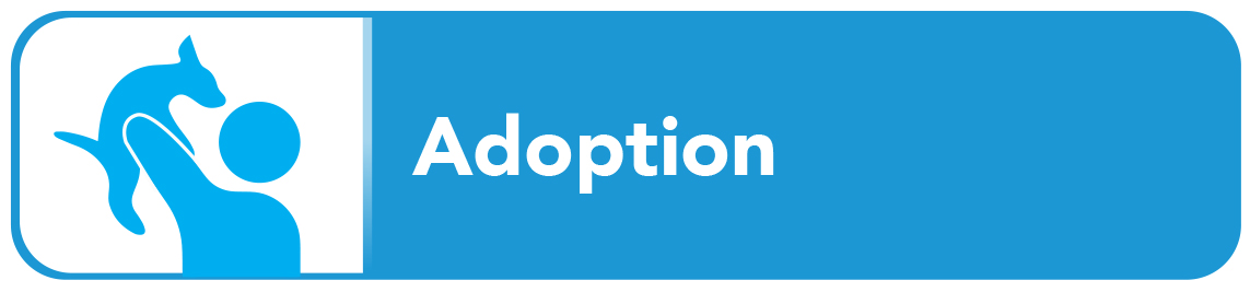AS-Web-button-Adoption