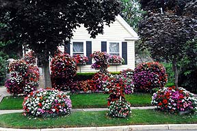 Photo of a City Garden Contest Home
