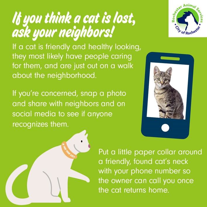 Infographic - Ask your neighbors