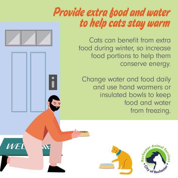 Infographic - Provide food and water