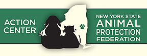 NYSAPF-Action-Center-logo