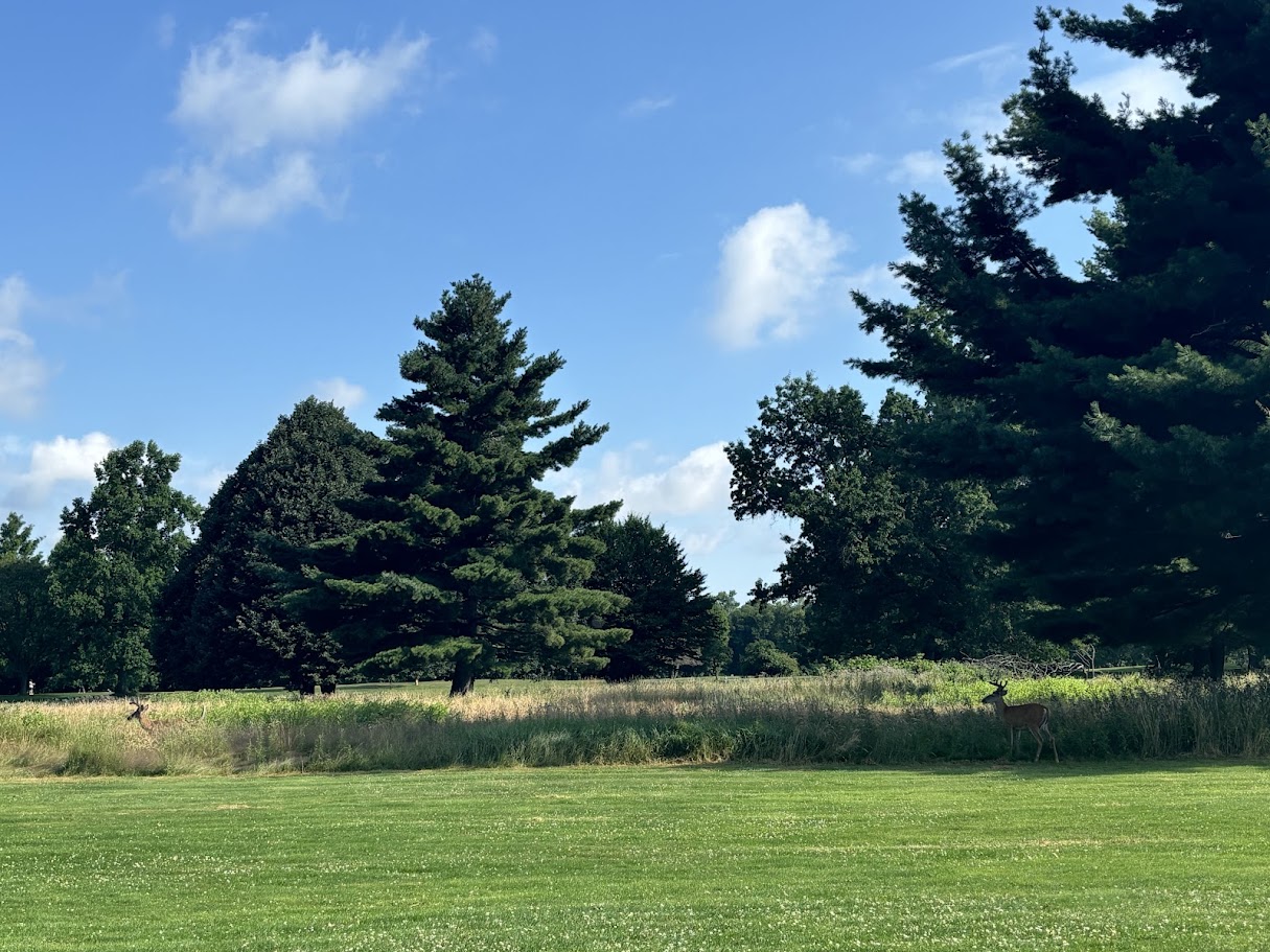 A photo from the Genesee Valley Park Golf Course.