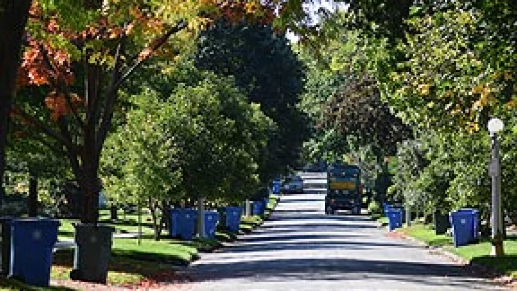 Photo of a streth with garbage bins at the curb.