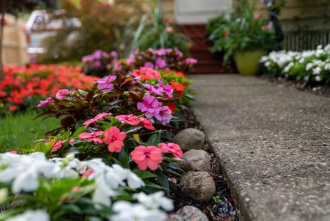 A photo of a garden in Rochester.