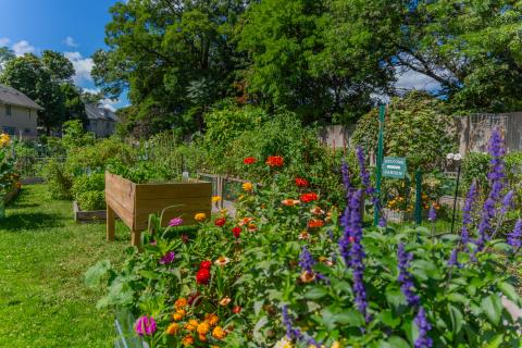 A photo of a garden in Rochester.