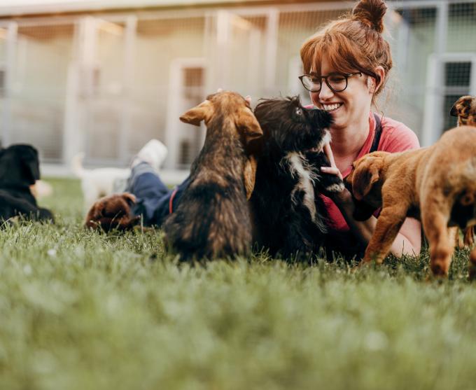 A Photo fo a woman playing with puppies at an animal shelter.