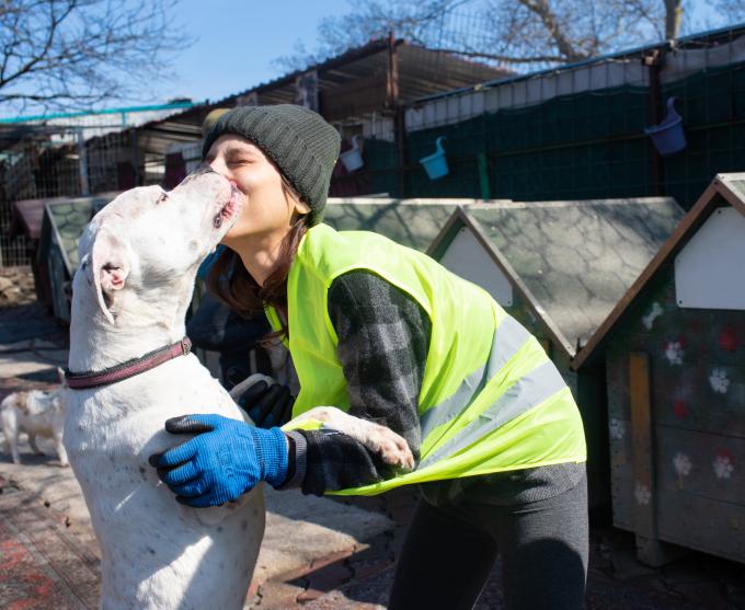 Photo of a dog licking the face of a volunteer at an animal shelter.