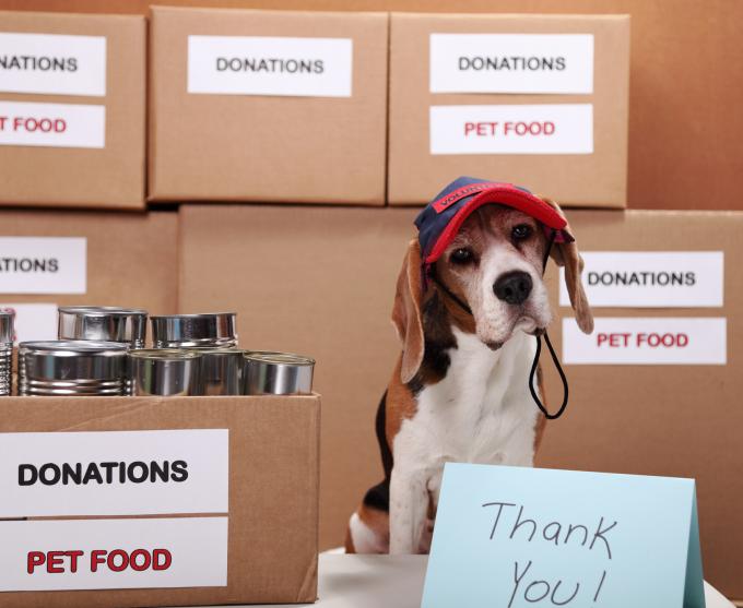 Photo of a fog posing next to a box that says animal shelter donations.