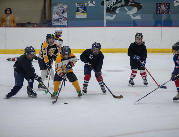 Photo of children playing ice hockey at the Genesee Valley Sports Complex.