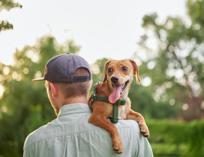 Photo of a man carrying a dog over his shoulder.