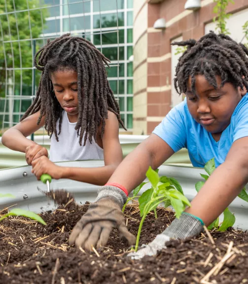 A photo of two children doing some gardening.