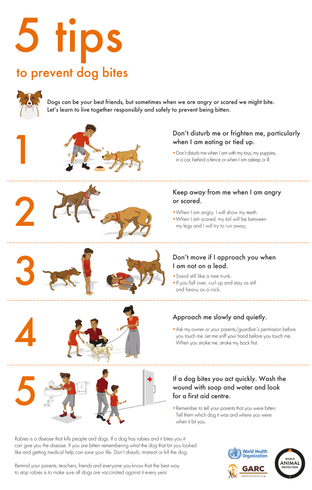 dog bite prevention tips