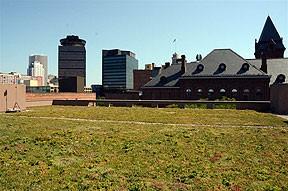 Green Roof