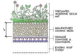 Green Roof Profile