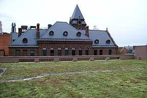 Green Roof after picture