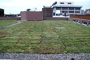 Green Roof 